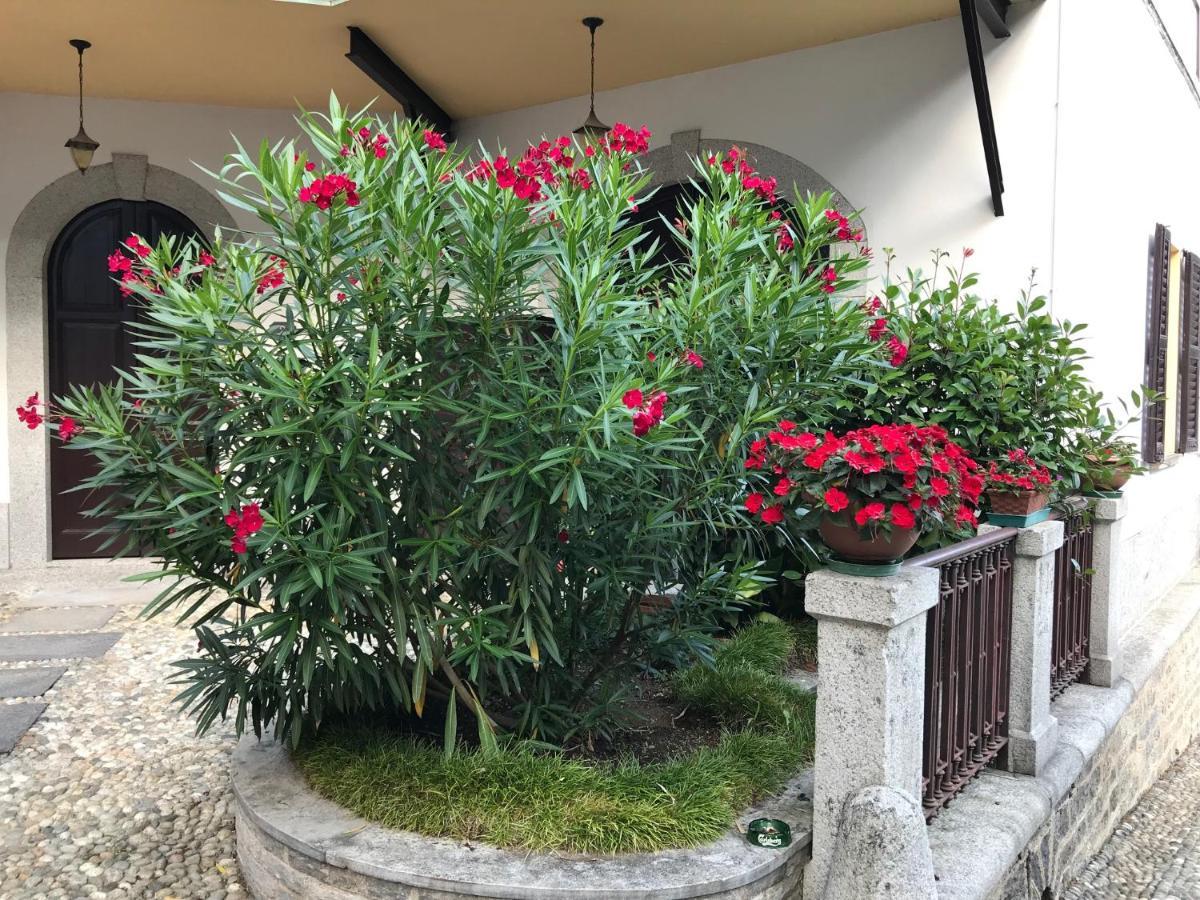 Villa Ombrosa Nebbiuno Luaran gambar