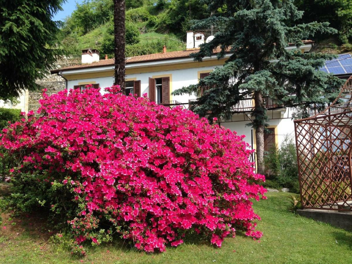 Villa Ombrosa Nebbiuno Luaran gambar